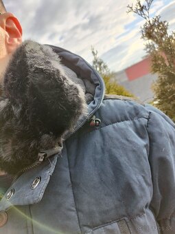 Pánska Zimna bunda - 3