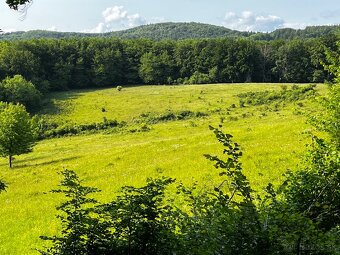 Rozľahlý pozemok Pliešovce, časť Zaježová - 3