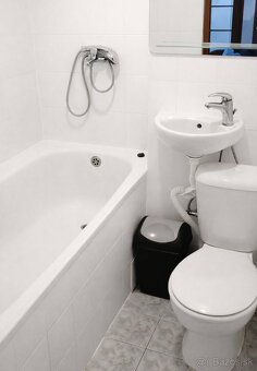 1 izbový byt s balkónom (širšie centrum) - 3