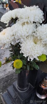 Chryzantéma zelená - 2,5eur a 4eur - 3