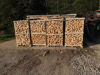 Palivove drevo buk - 3