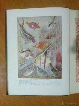 England ancyklopedy, collins... - 3