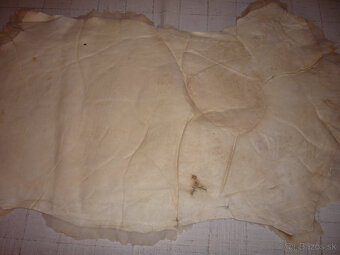 OVČIA KOŽUŠINA - 3