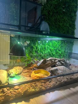 Terarium 160x60x60cm - 3