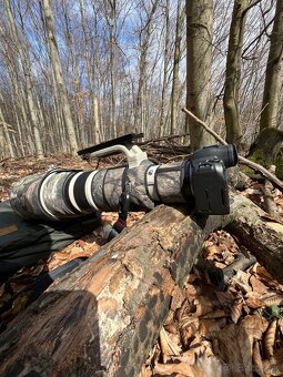 Canon EF 500mm f4 L IS USM - 3