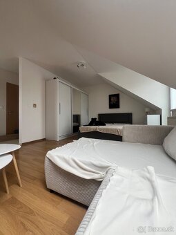 PETFRIENDLY 1-izbový byt so záhradkou (Biely Kostol) - 3