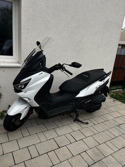 Sym Joymax Z 125 - 3