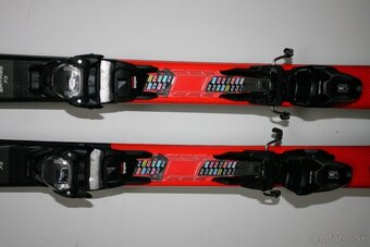 lyže Nordica 174 cm , hadia koža - 3