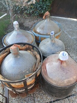 Demižony,lis na hrozno - 3