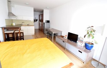 1 izbový byt, Bajkalská 45c, Novy Ružinov, dlhodobo, majitel - 3