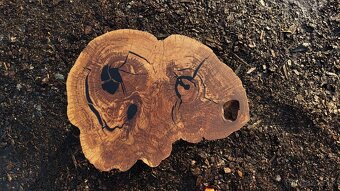 Dubové kolieska (koláče) - 3