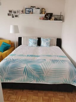 Predaj 1 izbový byt s loggiou, záhradou a pivnicou - 3