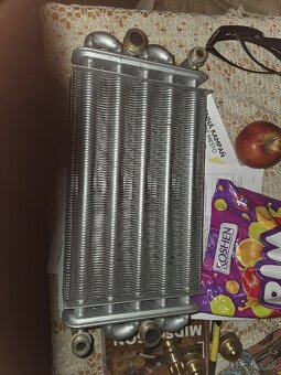 Protherm Rys 23 BTVE vymenik - 3