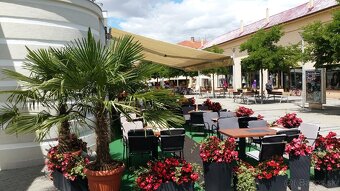 TOP CENA Exkluzívna ponuka Centrum Piešťany - 3