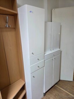 Kúpeľňova skrinka - 3