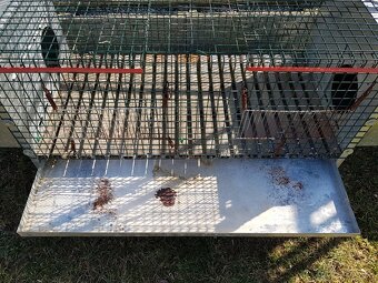 Klietka pre zajaca - 3