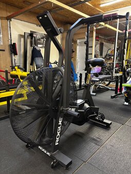 Rogue Echo bike - 3
