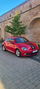 Vw beetle - 3