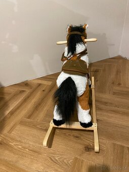 Hojdaci konik - 3