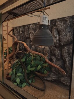 Kompletne vybavené terárium - 3