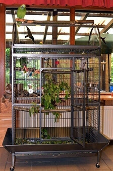 Veľká XXL klietka - nová voliéra - 3