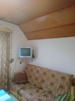 Patince /Modrany/ - Chata v vinohradom na predaj - 3