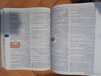 Scribner Dictionary - 3