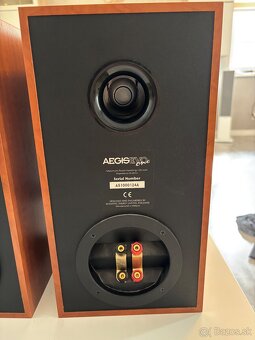 Acoustic energy aegis evo one - 3