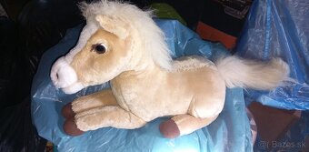 Pes malý a veľký a konik - 3