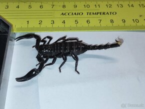 škorpion - 3