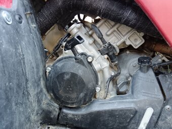 Kawasaki bruteforce 650 2006 - 3