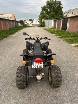 Eagle Lyda 250 - 3