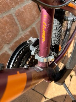Scott Contessa 24 - 3