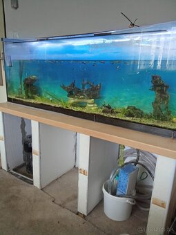 Predám akvarium - 3