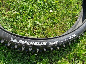 Pašte Michelin - 3