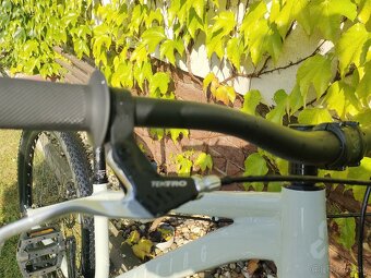 CTM dirtking 2024 - 3