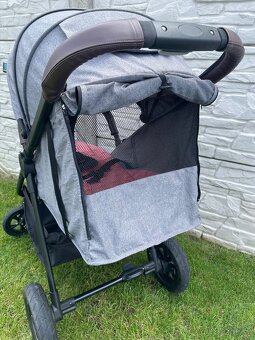 Sportovy kocik - 3