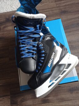 Korčule Bauer X - 3