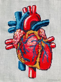 Krížiková výšivka/ obraz Anatomické srdce - 3
