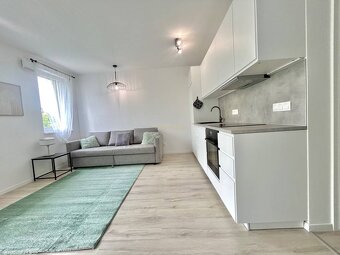 ASSENZIO - NA PRENAJOM - 1 izb BYT S BALKÓNOM - OVOCNE SADY - 3
