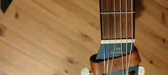 Jim Dandy Gretsch LTD - 3