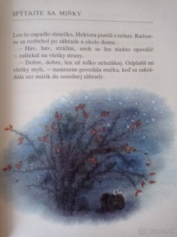 Hľadajte Šamiska (Anna Minichová) - 3