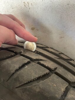 Tigar Road Performance 205/55 r16 - 3