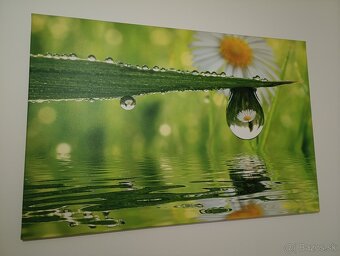 Obraz na plátne - 3