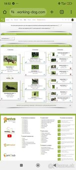 Nemecký ovčiak s PP - 3