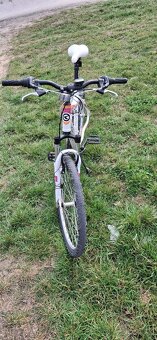 Kellys Vanity 10 - 3