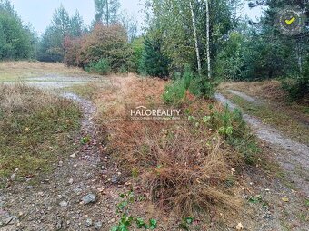 HALO reality - Predaj, pozemok pre rodinný dom 4217 m2 Gel - 3