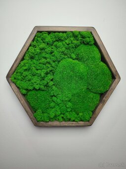 Machový obraz HEXAGON - 3