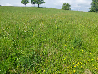 PREDAJ STAVEBNÝ POZEMOK NA 8 RD - VIŠŇOVÉ - 3