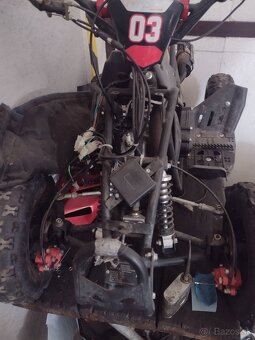Repti repsol - 3
